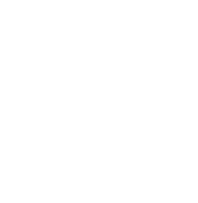 Симпле Сервице Ицон